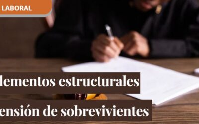 Elementos estructurales de la dependencia económica para la obtención de la pensión de sobrevivientes.