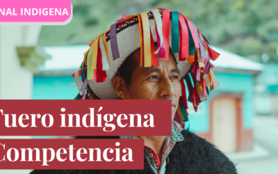 Fuero indígena: los indígenas privados de la libertad deben protegersen independientemente de que se aplique en el caso concreto el fuero