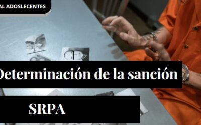 Criterios para la determinación de la sanción en el sistema de responsabilidad penal para adolescentes
