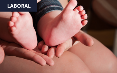 Reconocimiento y pago de la licencia de maternidad