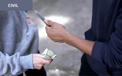 La prescripción extraordinaria como modo de adquirir el dominio