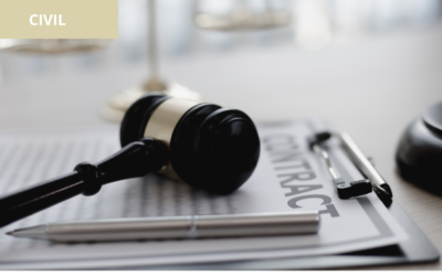 Responsabilidad civil extracontractual y la legitimación de víctimas indirectas en la reclamación de perjuicios.