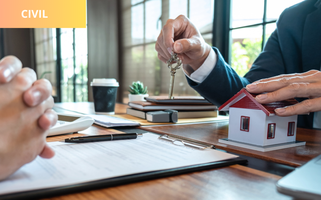 Declaratoria de nulidad absoluta de contrato de compraventa