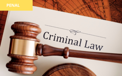 Error de prohibición invencible: existencia de una causal que excluya la responsabilidad por el delito de violación del régimen legal o constitucional de inhabilidades e incompatibilidades