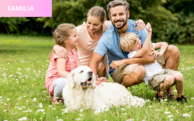 Los seres sintientes son considerados parte de la familia,  ¿Les compete a los juzgados de familia conocer las regulaciones de visitas de los animales de compañía luego de la separación de los cónyuges?,  ¿al no existir regulaciones de la familia multi-especie se deberían aplicar las normas que establecen la custodia y demás asuntos relativos a los menores de edad