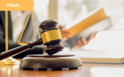 No se puede simplemente sostener, conforme se ha procedido por parte del Tribunal que el hecho de aceptar la tenencia de la droga actualiza plenamente el tipo penal