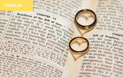Requisitos para la conformación de la unión marital de hecho