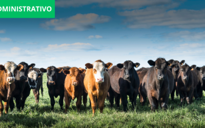 Responsabilidad del Estado por omisión en el deber de protección y pérdida de semovientes