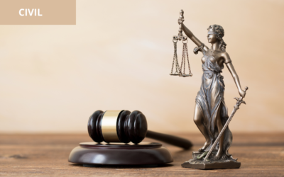 Los principios generales del derecho en la jurisprudencia y La prohibición del enriquecimiento sin causa y la acción civil de enriquecimiento