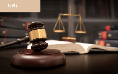 Ordenan a tribunal a que, proceda a dictar una nueva providencia en la que nuevamente se pronuncie sobre la responsabilidad extracontracontractual del aqui accionante