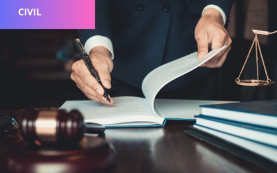 Una cosa son los supuestos de éxito de la pretensión y otra los requisitos para la admisión de la demanda