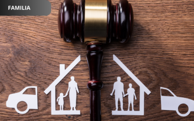 La decisión judicial, las pruebas de oficio y la pretensión alimentaria