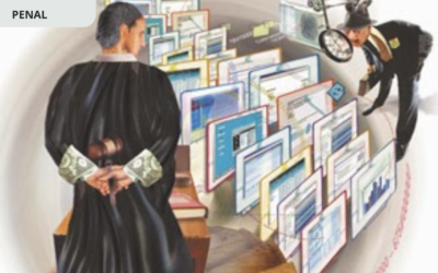 Del Derecho de Petición y Postulación