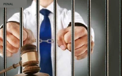 Elementos de componen el tipo penal de abuso de función pública
