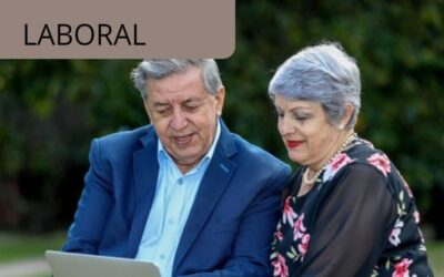 Error jurídico del tribunal al usar el enfoque de género para ordenar un pago por partes iguales de una pensión de sobrevivientes
