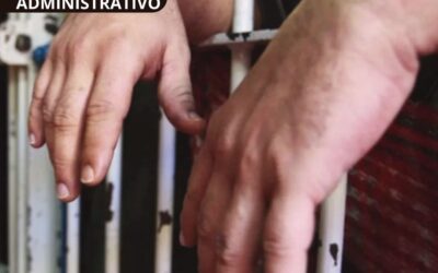 Obligación de probar los elementos de la responsabilidad extracontractual del Estado y el Hecho exclusivo de la víctima como eximente de responsabilidad